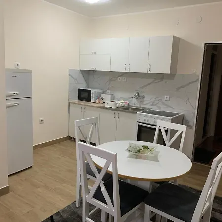 Pavle * Novi Sad