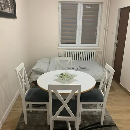 Pavle Novi Sad